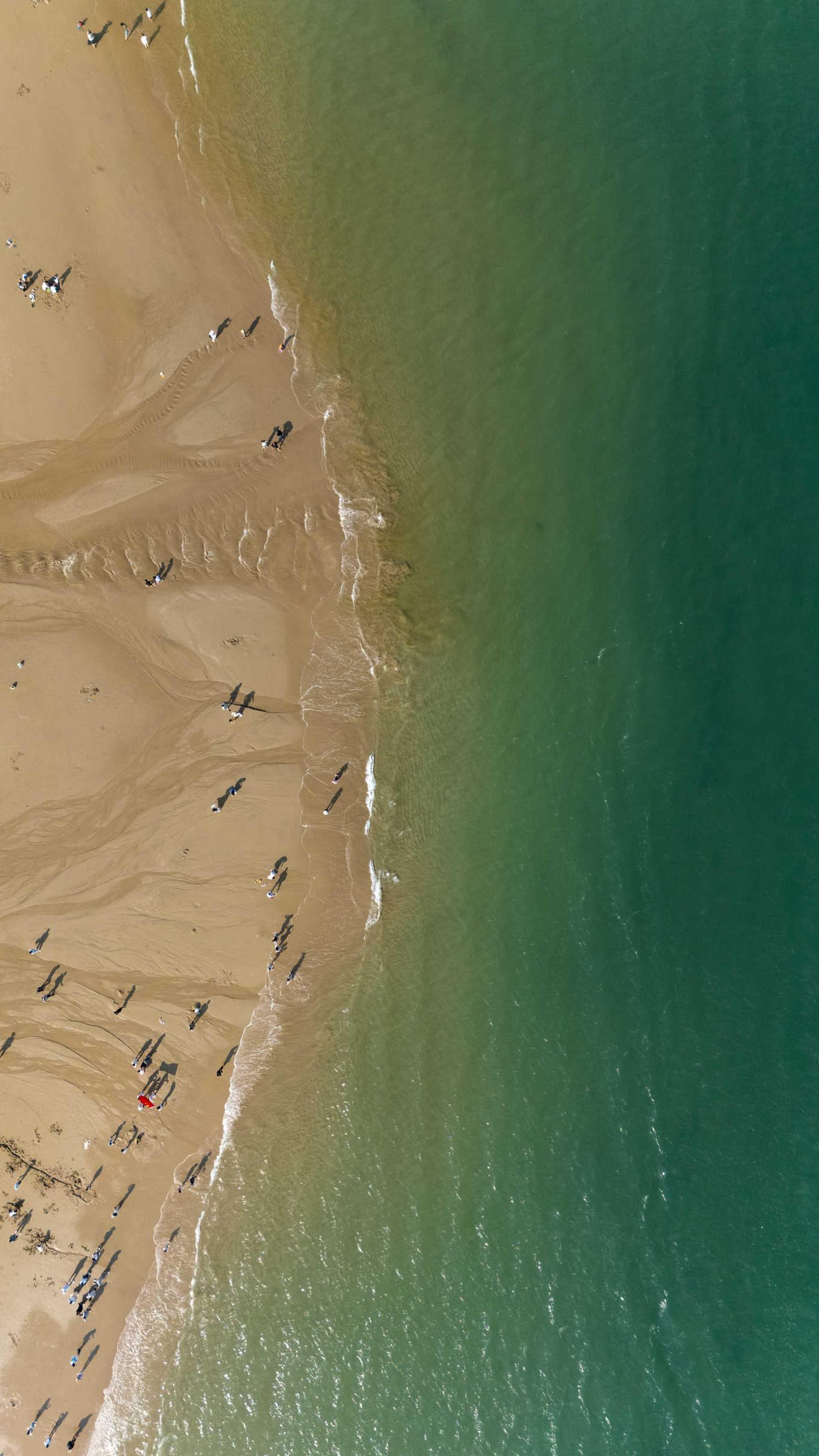 自然系列 DJI_20260502155242_0790_D